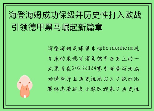 海登海姆成功保级并历史性打入欧战 引领德甲黑马崛起新篇章